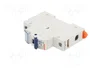 GEWISS MCB Interruptor magnetotérmico MT 60 1 Polo 10A 6kA