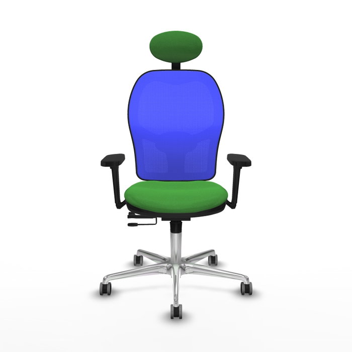 PIQUERAS Y CRESPO Silla de oficina Jorquera con mecanismo Sincro/Traslack, Verde y Azul PIQUERAS Y CRESPO Silla de oficina Jorquera con mecanismo Sincro/Traslack, Verde y Azul