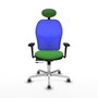 PIQUERAS Y CRESPO Silla de oficina Jorquera con mecanismo Sincro/Traslack, Verde y Azul