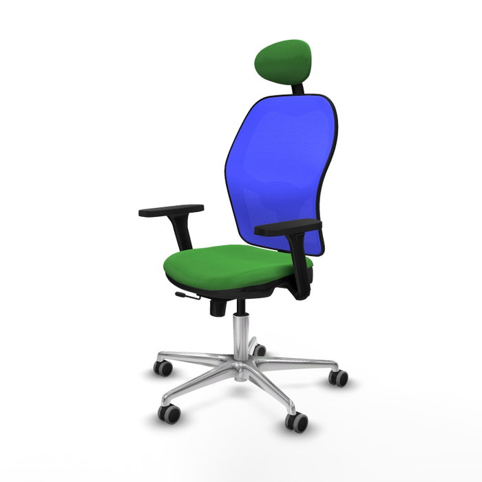 PIQUERAS Y CRESPO Silla de oficina Jorquera con mecanismo Sincro/Traslack, Verde y Azul PIQUERAS Y CRESPO Silla de oficina Jorquera con mecanismo Sincro/Traslack, Verde y Azul