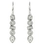Adore Brilliance Pendientes con Cristales Swarovski Gris