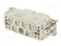 HARTING Han K 6/6 Pos. F Insert Combi con crimp