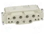 HARTING Han K 6/6 Pos. F Insert Combi con crimp