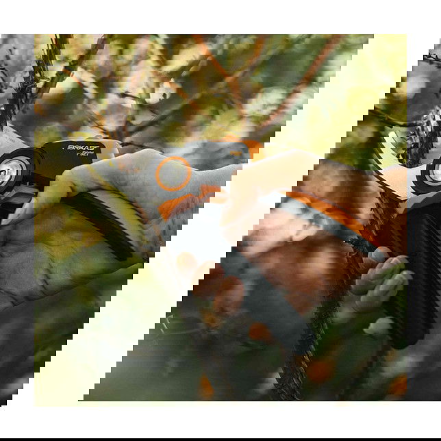 Fiskars P921 Tijera de Podar Bypass Serie M para Jardín, Acero Inoxidable, Capacidad de Corte 24 mm, Mangos Negro y Naranja