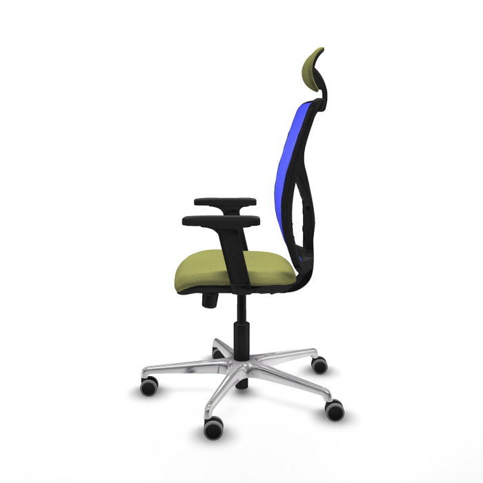 PIQUERAS Y CRESPO Silla de oficina Motilla con mecanismo Sincro/Traslack, Verde oliva y Azul PIQUERAS Y CRESPO Silla de oficina Motilla con mecanismo Sincro/Traslack, Verde oliva y Azul