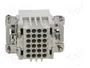 ILME CDD CDDM24 Plantilla de Contacto Macho HDC 24 PIN