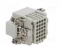 ILME CDD CDDM24 Plantilla de Contacto Macho HDC 24 PIN