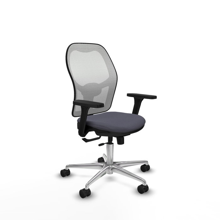 PIQUERAS Y CRESPO Silla de oficina Jorquera con mecanismo Sincro/Traslack, Gris oscuro y Blanco PIQUERAS Y CRESPO Silla de oficina Jorquera con mecanismo Sincro/Traslack, Gris oscuro y Blanco