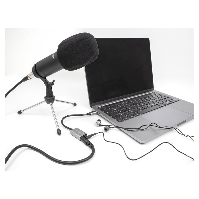 DeLOCK 67071 Adaptador de Audio Externo USB-C a 2 Jack 3.5mm Plug & Play para PC, Mac, Linux, Android, Windows 10/11, 16-bit/48 kHz, Micrófono, Color Gris