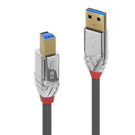 Lindy Cable USB 3.2 Gen 1 Tipo A a B de 2 m, Gris