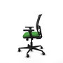 PIQUERAS Y CRESPO Silla de oficina Yunquera con mecanismo Sincro/Traslack, Verde y Negro