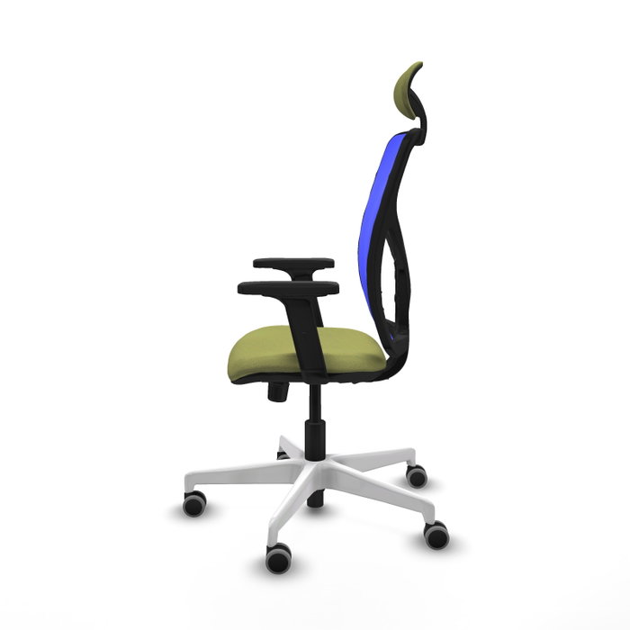 PIQUERAS Y CRESPO Silla de oficina Motilla con mecanismo Sincro, Verde oliva y Azul PIQUERAS Y CRESPO Silla de oficina Motilla con mecanismo Sincro, Verde oliva y Azul