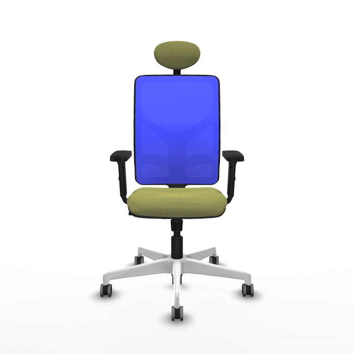 PIQUERAS Y CRESPO Silla de oficina Motilla con mecanismo Sincro, Verde oliva y Azul PIQUERAS Y CRESPO Silla de oficina Motilla con mecanismo Sincro, Verde oliva y Azul