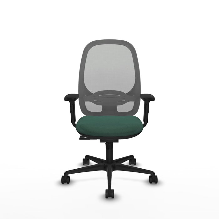 PIQUERAS Y CRESPO Silla de oficina Cilanco con mecanismo Sincro, Verde botella y Gris PIQUERAS Y CRESPO Silla de oficina Cilanco con mecanismo Sincro, Verde botella y Gris