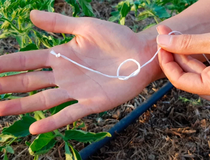 Liderpapel Cuerda de Rafia de Polipropileno Blanca, Rollo de 600 Metros, Muy Resistente, 700 g