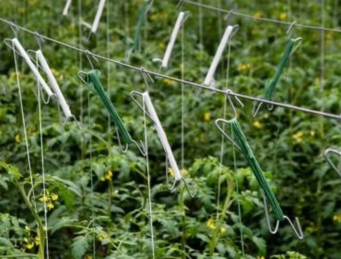 Liderpapel Cuerda de Rafia de Polipropileno Blanca, Rollo de 600 Metros, Muy Resistente, 700 g