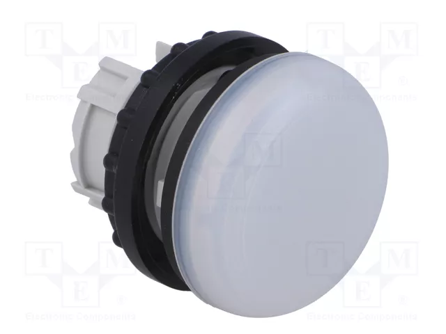 Eaton M22-L-W Indicador Luminoso Blanco Plano