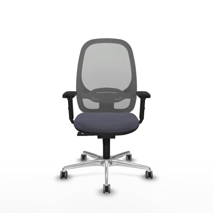 PIQUERAS Y CRESPO Silla de oficina Cilanco con mecanismo Sincro, Gris PIQUERAS Y CRESPO Silla de oficina Cilanco con mecanismo Sincro, Gris