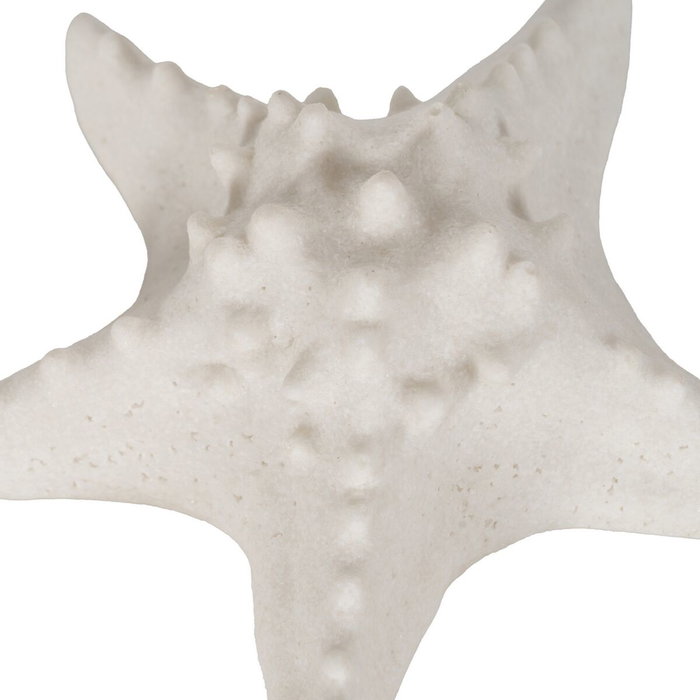 Ixia Lámpara de Mesa Estrella Arenisca