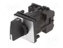 Schneider Electric Interruptor de Leva 12A 2-0-1 Negro