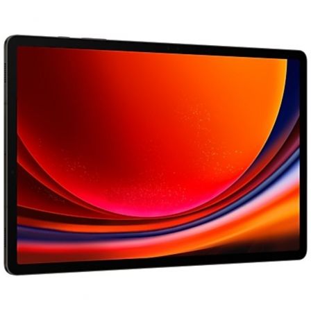 Samsung Galaxy Tab S9+ 5G 12/512 Gray