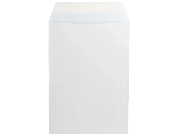 Liderpapel Bolsa N 10 Blanca Folio Prolongado 250x353 mm con Tira de Silicona Paquete 25 Unidades