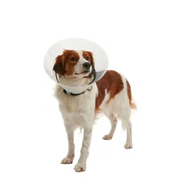 Kruuse Collar Isabelino Buster Clic 30 cm