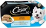Cesar Multipack Senior Caja 6x4x150g