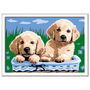 Ravensburger Puzzle de Pintar por Números Serie E Classic Perros Retriever 28931 +7 años
