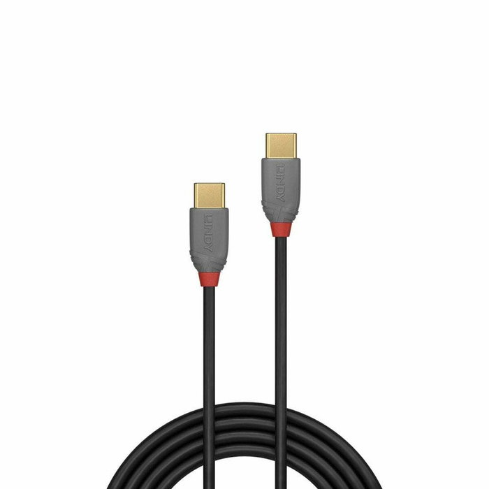 Lindy Cable USB 2.0 USB C a USB C 2m Negro, Gris