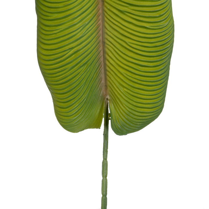 Hoja Mango Verde Polietileno Decoración 103 cm (Set de 24)