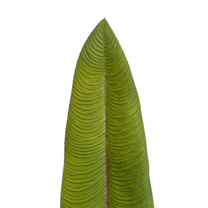 Hoja Mango Verde Polietileno Decoración 103 cm (Set de 24)