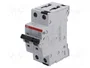 ABB S300P Interruptor magnetotérmico 2 polos 4A K 415V AC