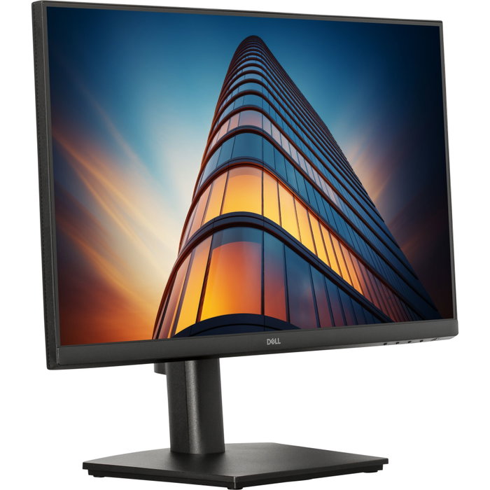 Dell Pro E2425HSM Monitor 24 pulgadas IPS Full HD 100Hz Negro