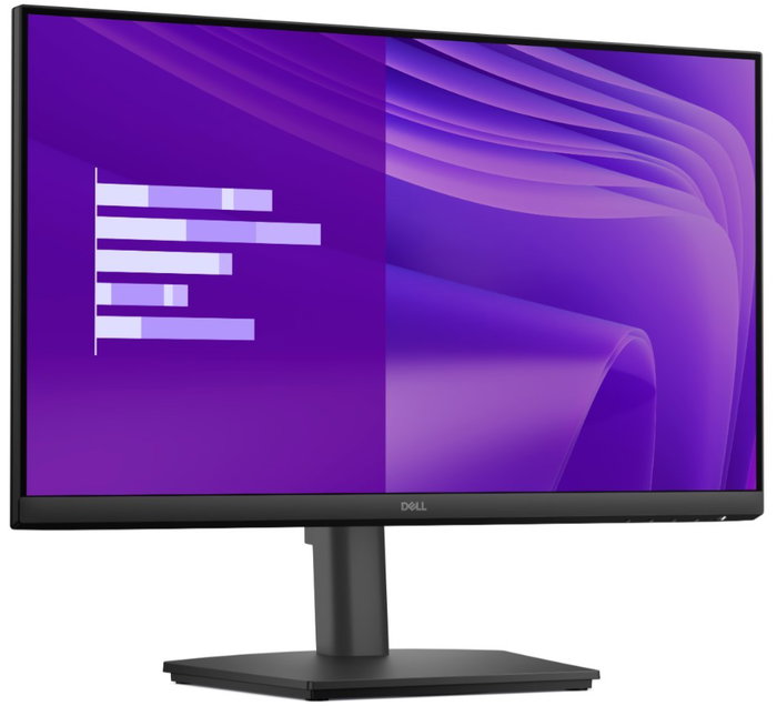 Dell Pro E2425HSM Monitor 24 pulgadas IPS Full HD 100Hz Negro
