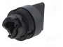SCHNEIDER ELECTRIC Interruptor rotativo Harmony XAC negro 22mm
