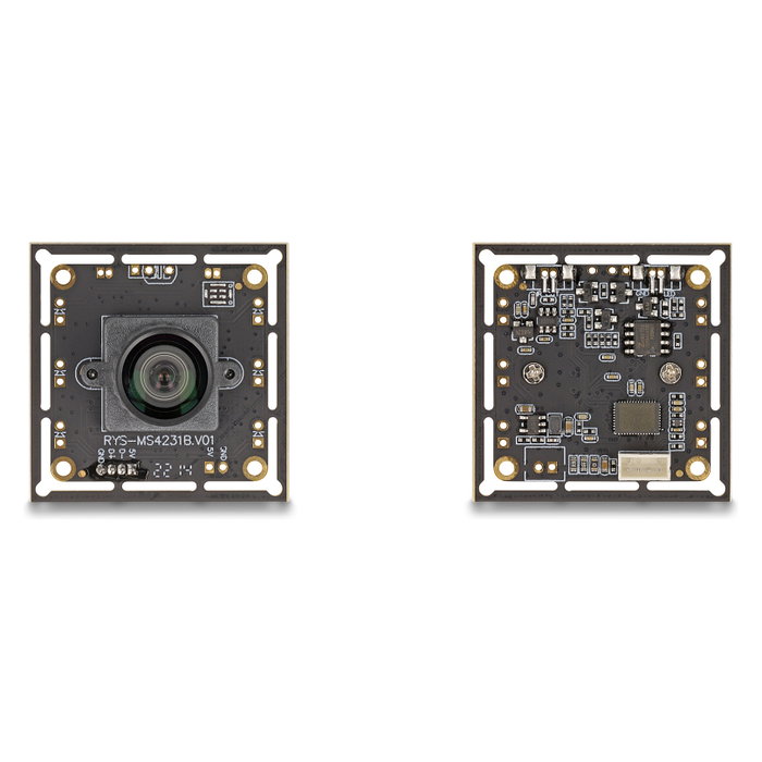 DeLOCK Módulo de cámara USB 2.0 2,1 MP Full HD 1080p 84° V6