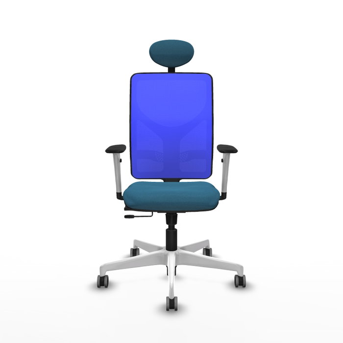 PIQUERAS Y CRESPO Silla de oficina Motilla con mecanismo Sincro/Traslack Verde petróleo y Azul PIQUERAS Y CRESPO Silla de oficina Motilla con mecanismo Sincro/Traslack Verde petróleo y Azul