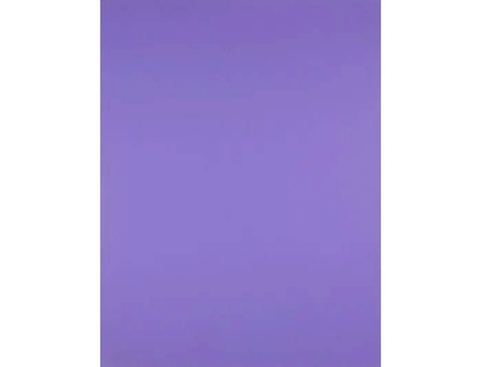 Liderpapel Cartulina Púrpura 50 x 65 cm 180 g Liderpapel Cartulina Púrpura 50 x 65 cm 180 g
