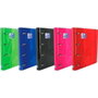 Oxford Europeanbinder Classic DIN A4+ con recambios 5x5 y separadores