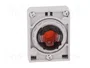 EATON ELECTRIC Interruptor de presión RMQ-Titan rojo