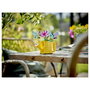LEGO Creator 3 en 1 Flores en Regadera 31149, 420 piezas