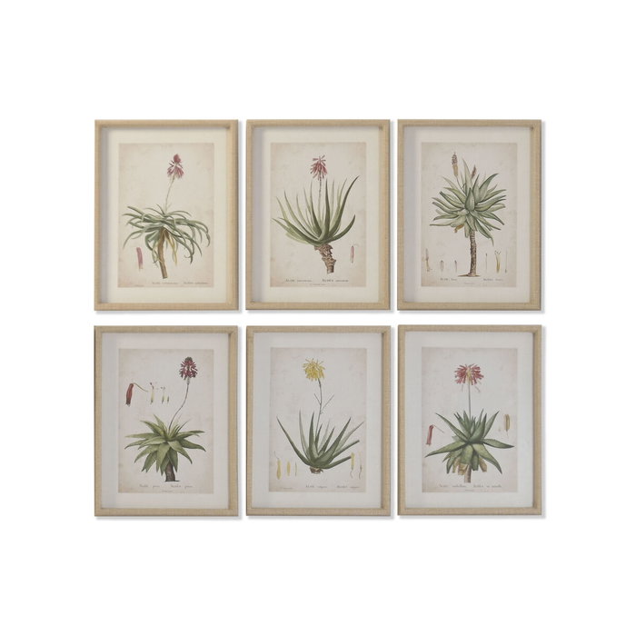 DKD Home Decor Cuadro Tropical Verde Beige