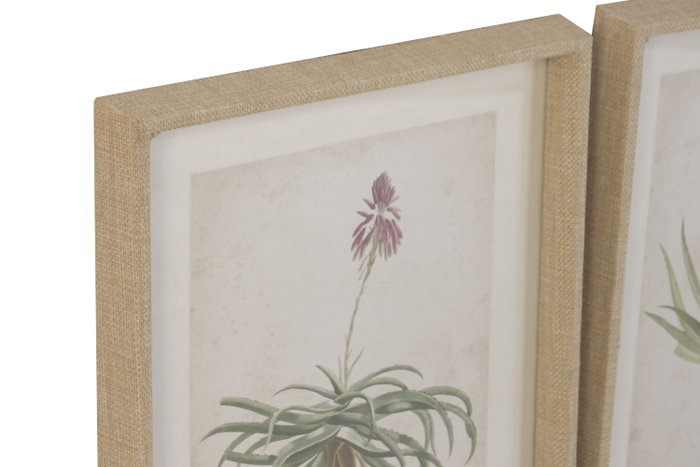 DKD Home Decor Cuadro Tropical Verde Beige DKD Home Decor Cuadro Tropical Verde Beige
