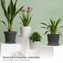 Plastiken Plato de Inyección Blanco Ø14cm para Maceta Ø18cm