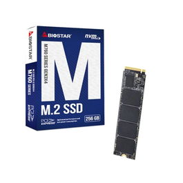 Biostar M760 SSD 256GB NVMe M.2 2280 PCIe 4.0 x4 - Velocidad Lectura 3200 MB/s, Escritura 1300 MB/s - Disco Duro Interno SA122PME36