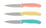 Inde Set de 3 Cuchillos Pelador 9cm Basic