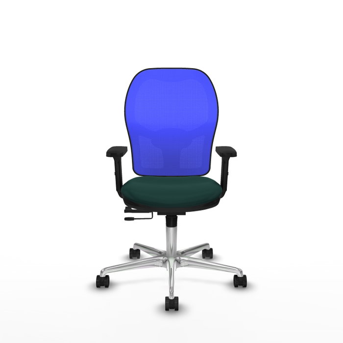 PIQUERAS Y CRESPO Silla de oficina Jorquera con mecanismo Sincro/Traslack Verde botella y Azul PIQUERAS Y CRESPO Silla de oficina Jorquera con mecanismo Sincro/Traslack Verde botella y Azul