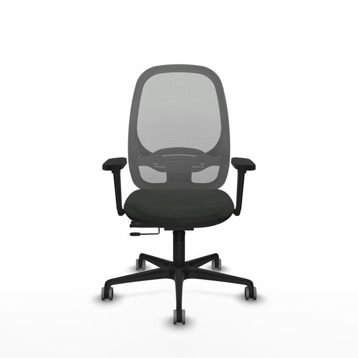 PIQUERAS Y CRESPO Silla de oficina Cilanco con mecanismo Sincro/Traslack, Negro y Gris PIQUERAS Y CRESPO Silla de oficina Cilanco con mecanismo Sincro/Traslack, Negro y Gris