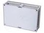 HENSEL ENYSTAR Carcasa de Pared Gris Claro